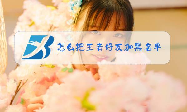怎么把王者好友加黑名单图片