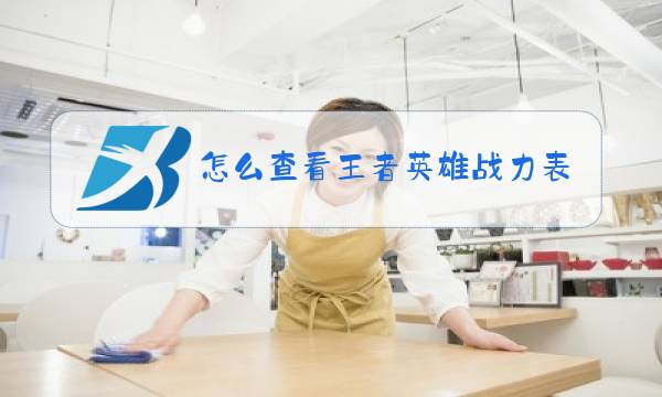 怎么查看王者英雄战力表现分