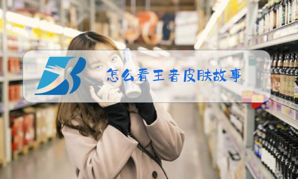怎么看王者皮肤故事图片