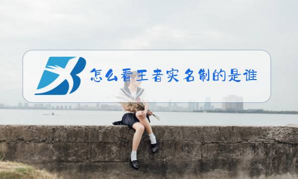 怎么看王者实名制的是谁图片