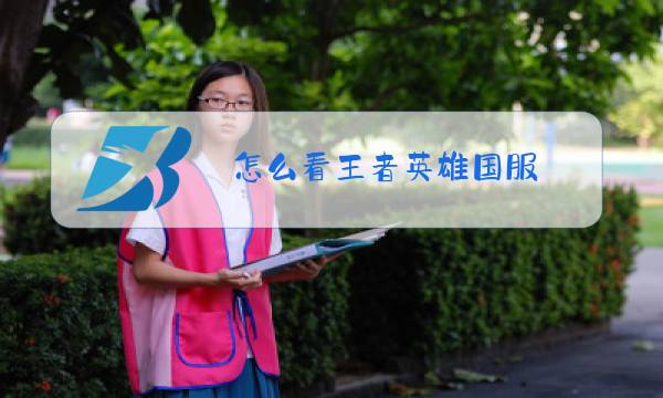 怎么看王者英雄国服图片