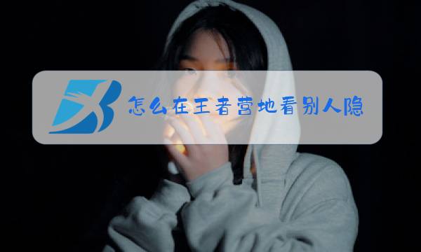 怎么在王者营地看别人隐藏的战绩图片