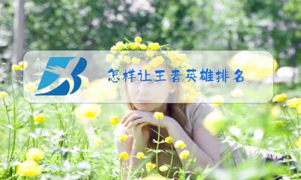 怎样让王者英雄排名图片