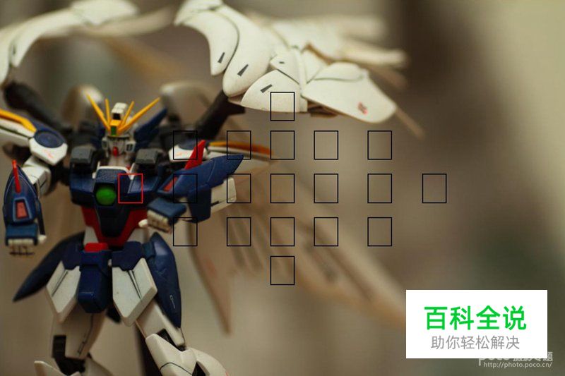 10个不可不知的对焦方式