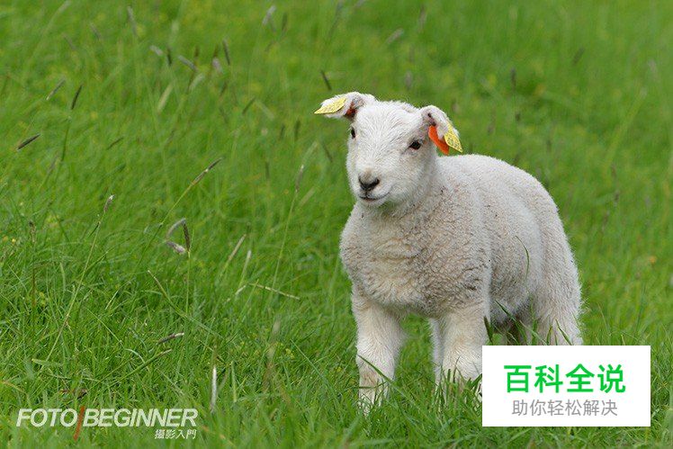 14个旅游摄影师必须知道的技巧