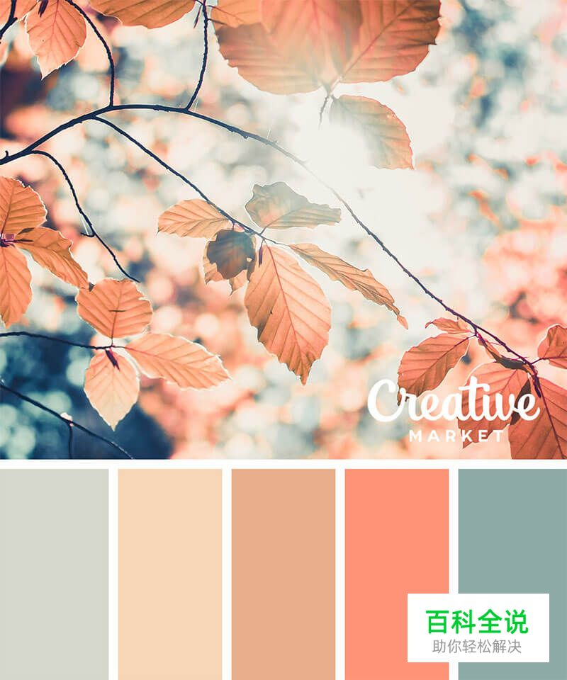 14个以秋为主题的配色方案