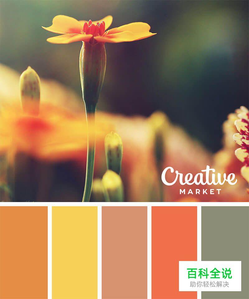 14个以秋为主题的配色方案