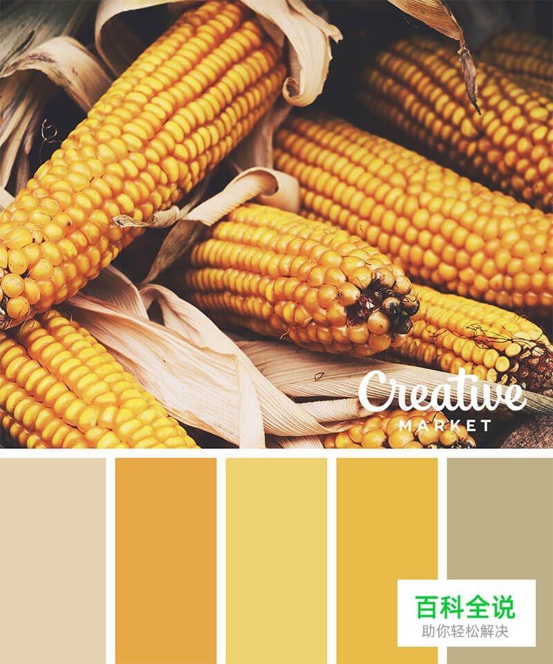 14个以秋为主题的配色方案