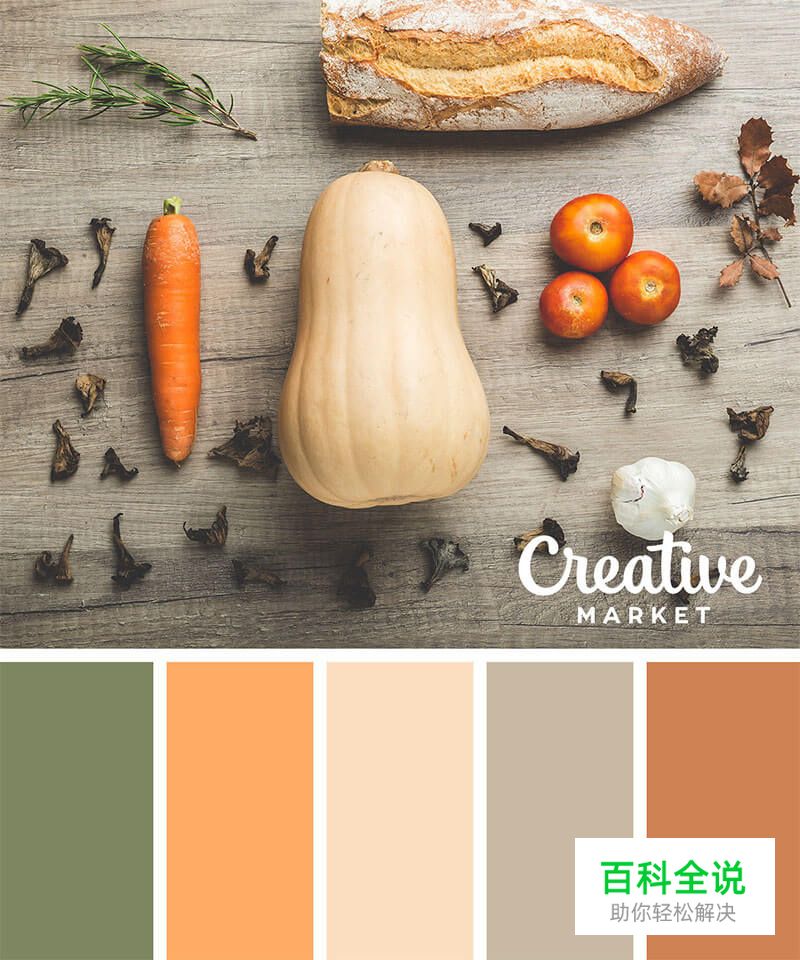14个以秋为主题的配色方案