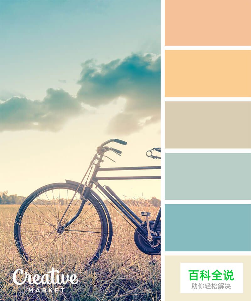 14个以秋为主题的配色方案
