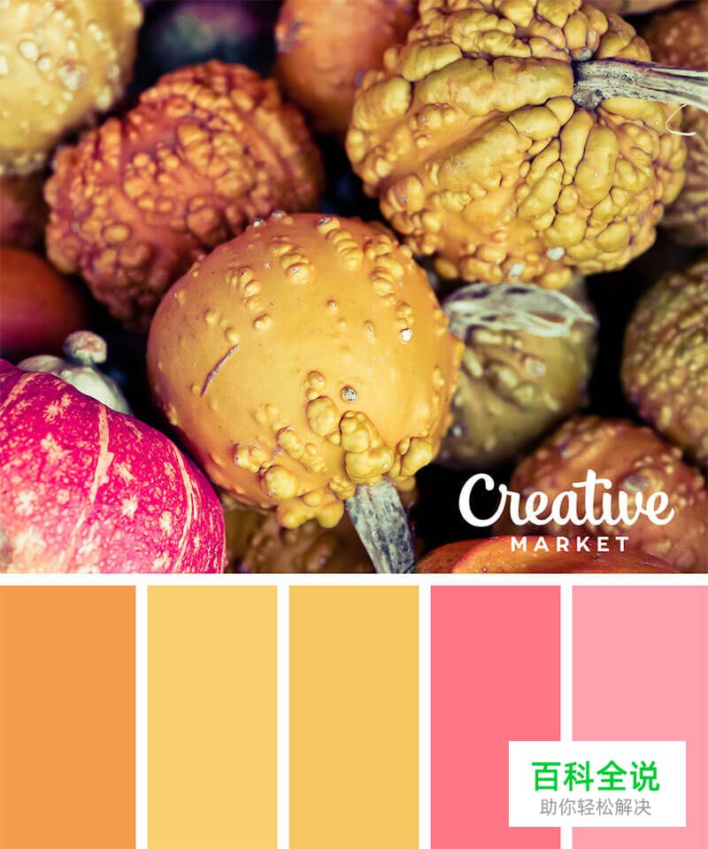 14个以秋为主题的配色方案