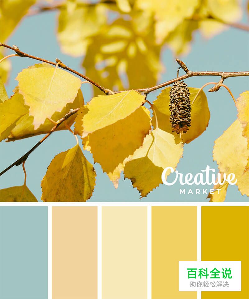 14个以秋为主题的配色方案