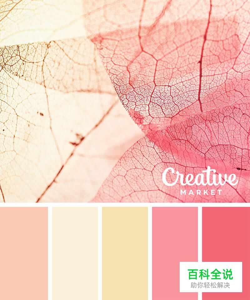 14个以秋为主题的配色方案