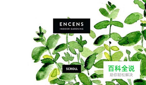 19个以水彩风格为主的网页设计