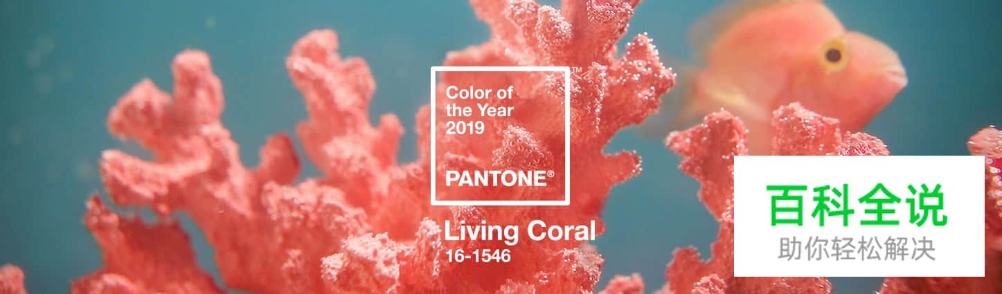 2019年流行色：活力珊瑚橘色