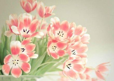 2016舒服清新的qq网名