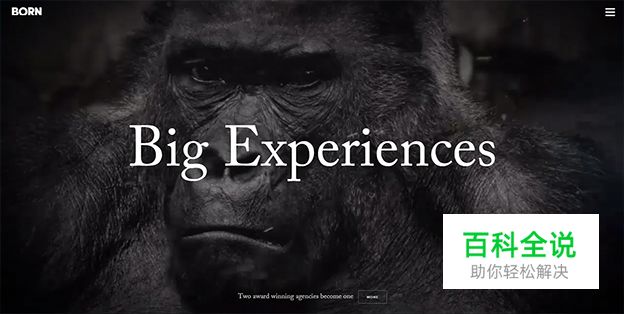 2015年网页设计趋势（上）