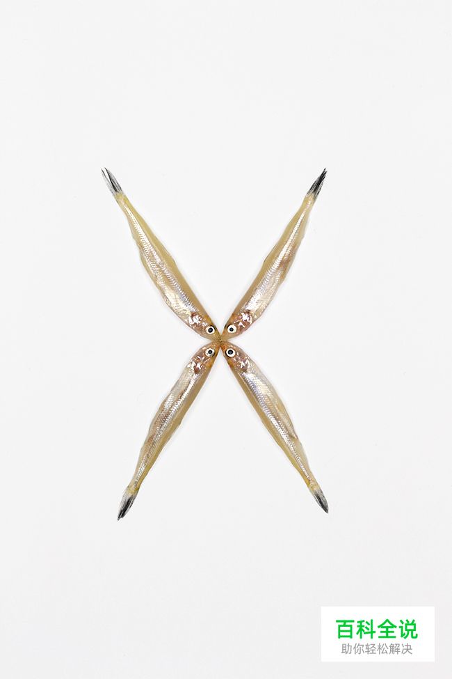 2014年11月的字体创意设计案例欣赏