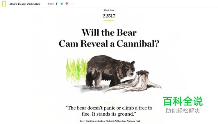 2017年十个UI设计趋势