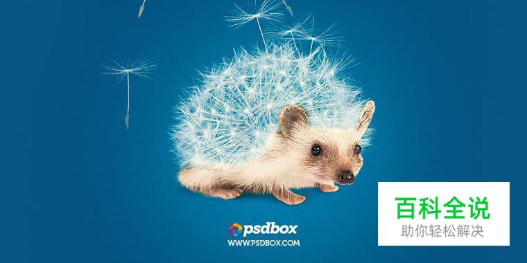 2016年国外最火55套PS实用教程(下)