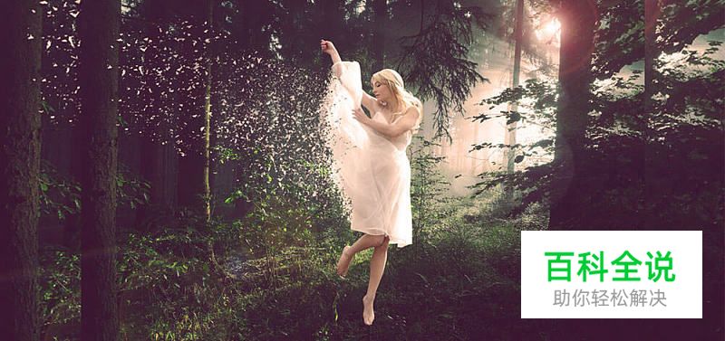 2016年国外最火55套PS实用教程(下)