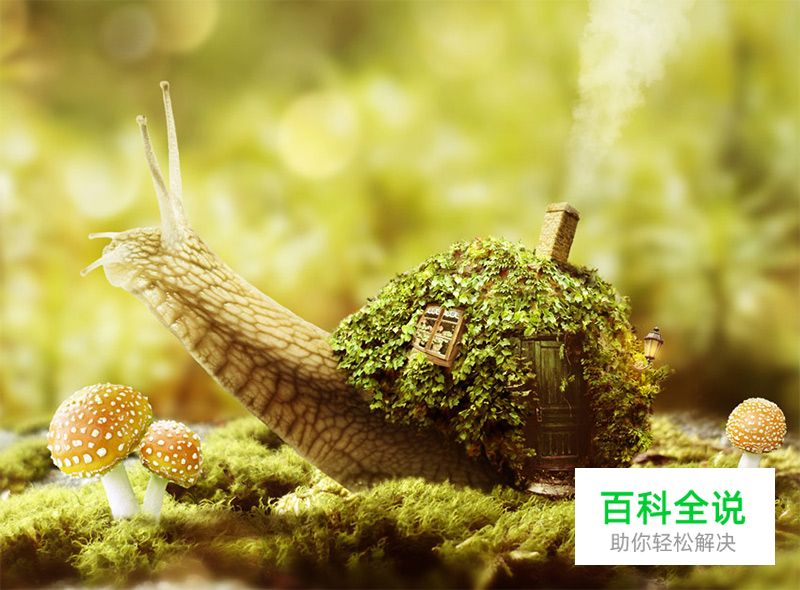 2016年国外最火55套PS实用教程(下)