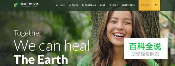 20个极棒的绿色主题WordPress模版（2017年主流色）
