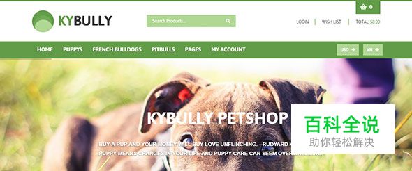 20个极棒的绿色主题WordPress模版（2017年主流色）