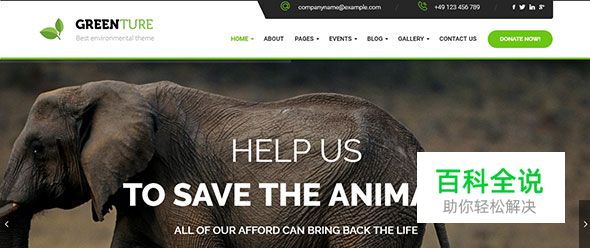 20个极棒的绿色主题WordPress模版（2017年主流色）