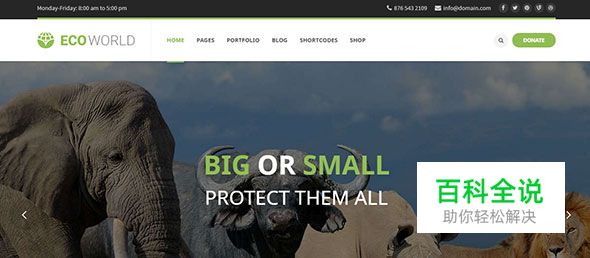 20个极棒的绿色主题WordPress模版（2017年主流色）