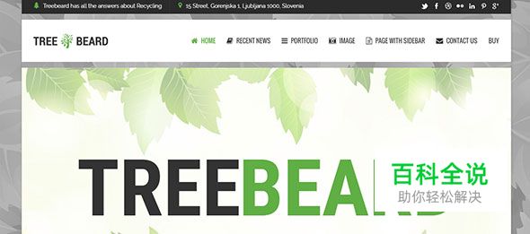 20个极棒的绿色主题WordPress模版（2017年主流色）