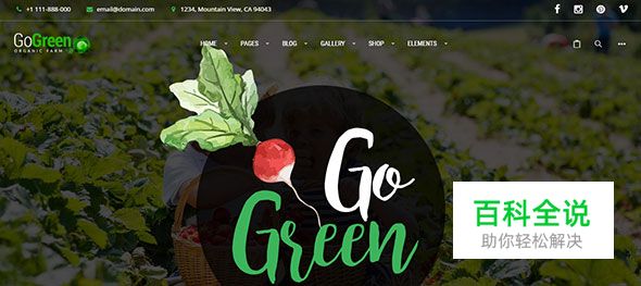 20个极棒的绿色主题WordPress模版（2017年主流色）
