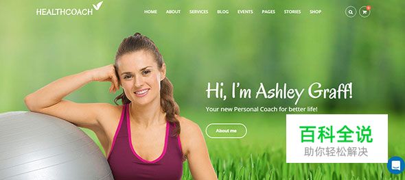 20个极棒的绿色主题WordPress模版（2017年主流色）