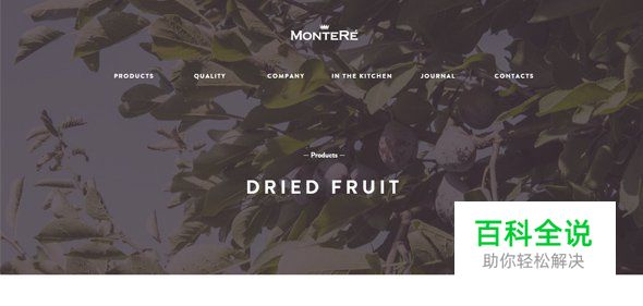 20个品牌电子商务网站设计欣赏