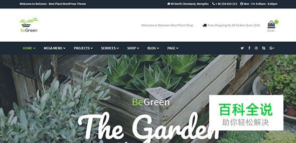 20个极棒的绿色主题WordPress模版（2017年主流色）