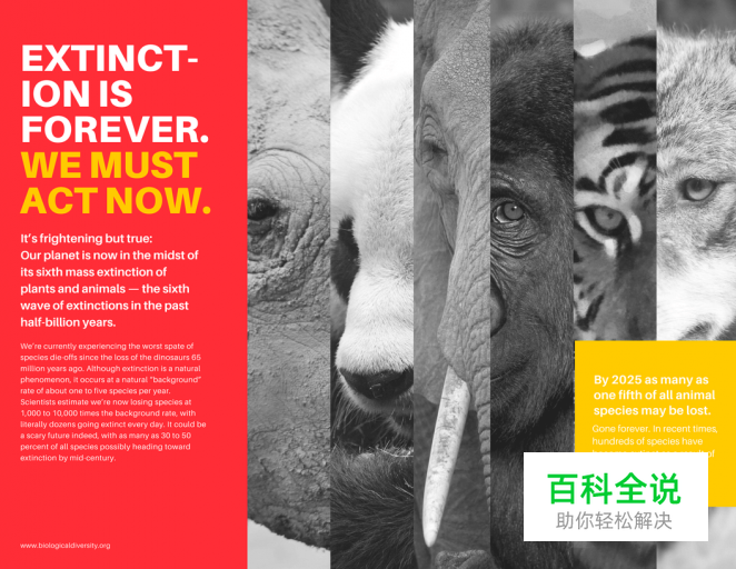 20个小技巧教你设计惊艳的三折页［大量案例］