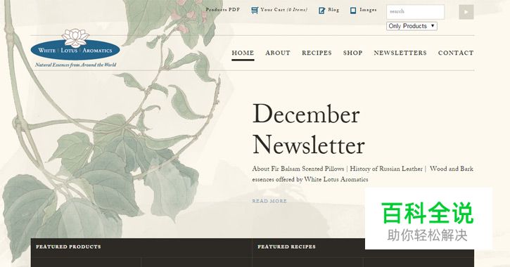 20个国外漂亮的电商网站设计