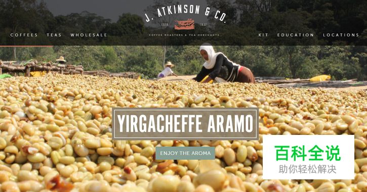 20个国外漂亮的电商网站设计