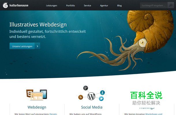 26个轻盈优雅的蓝色网站欣赏！