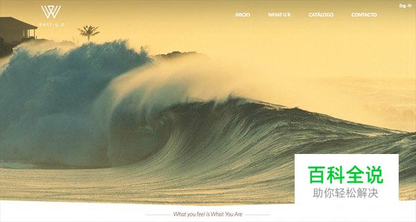 30个使用全屏照片的网页设计例子