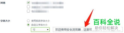 360安全浏览器的字体大小如何设置