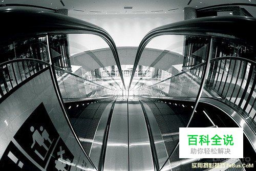 3招技巧教你拍好小品摄影