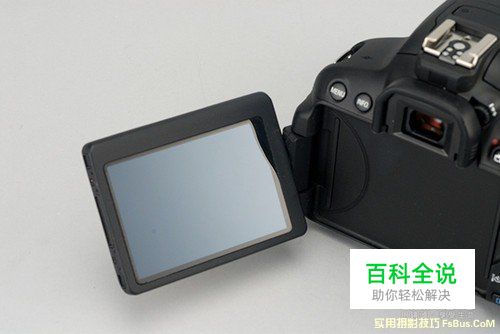 3招技巧教你拍好小品摄影