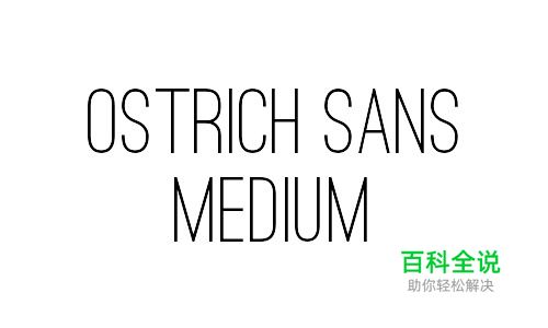 40款优雅纤细字体免费下载(可商用)