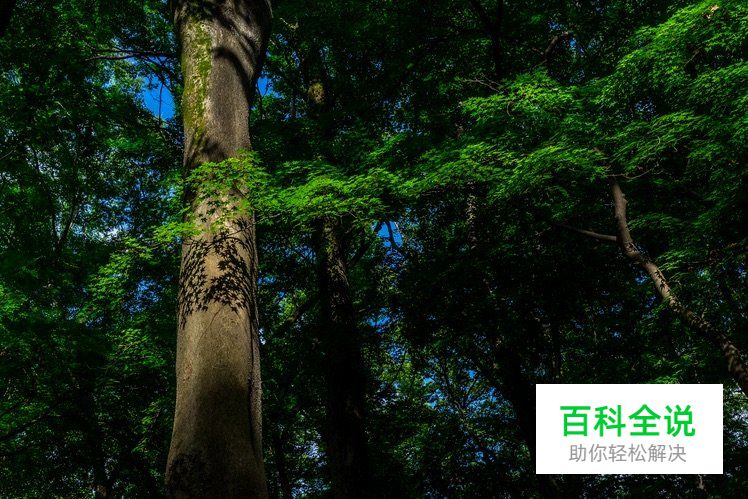 4个利用对比构图拍摄的技巧