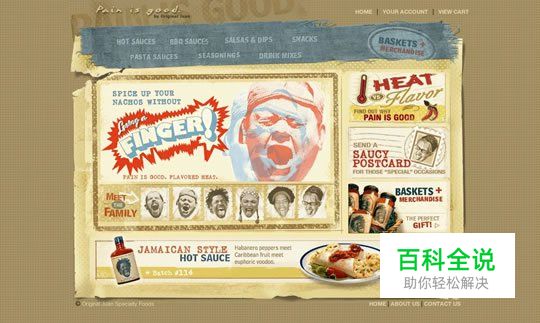 50个国外复古风格的网页设计欣赏(下)