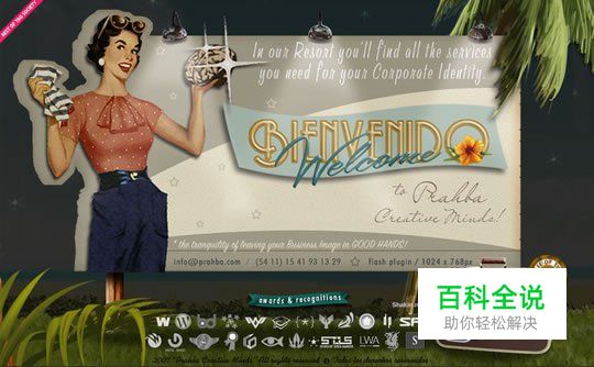 50个国外复古风格的网页设计欣赏(下)