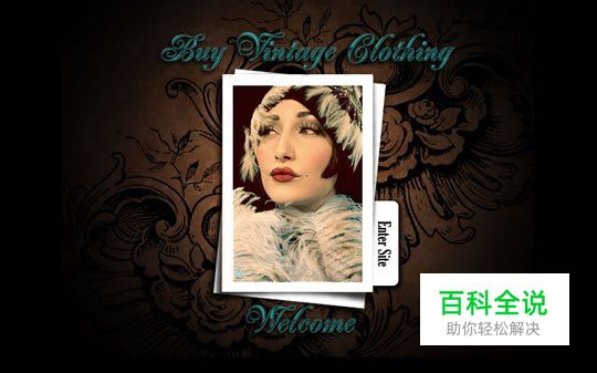 50个国外复古风格的网页设计欣赏(下)