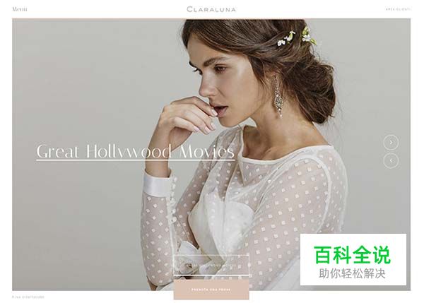 50个国外漂亮的网站设计作品