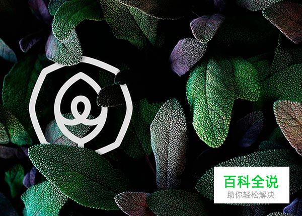 50个国外漂亮的网站设计作品